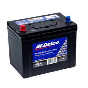 ACDeclo Sealed Maintenance Free (SMF)